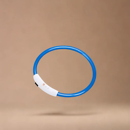 LED Safety Collar