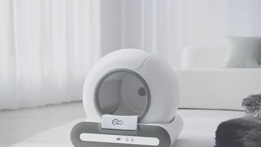 Pro Smart Self-Cleaning Litter Box