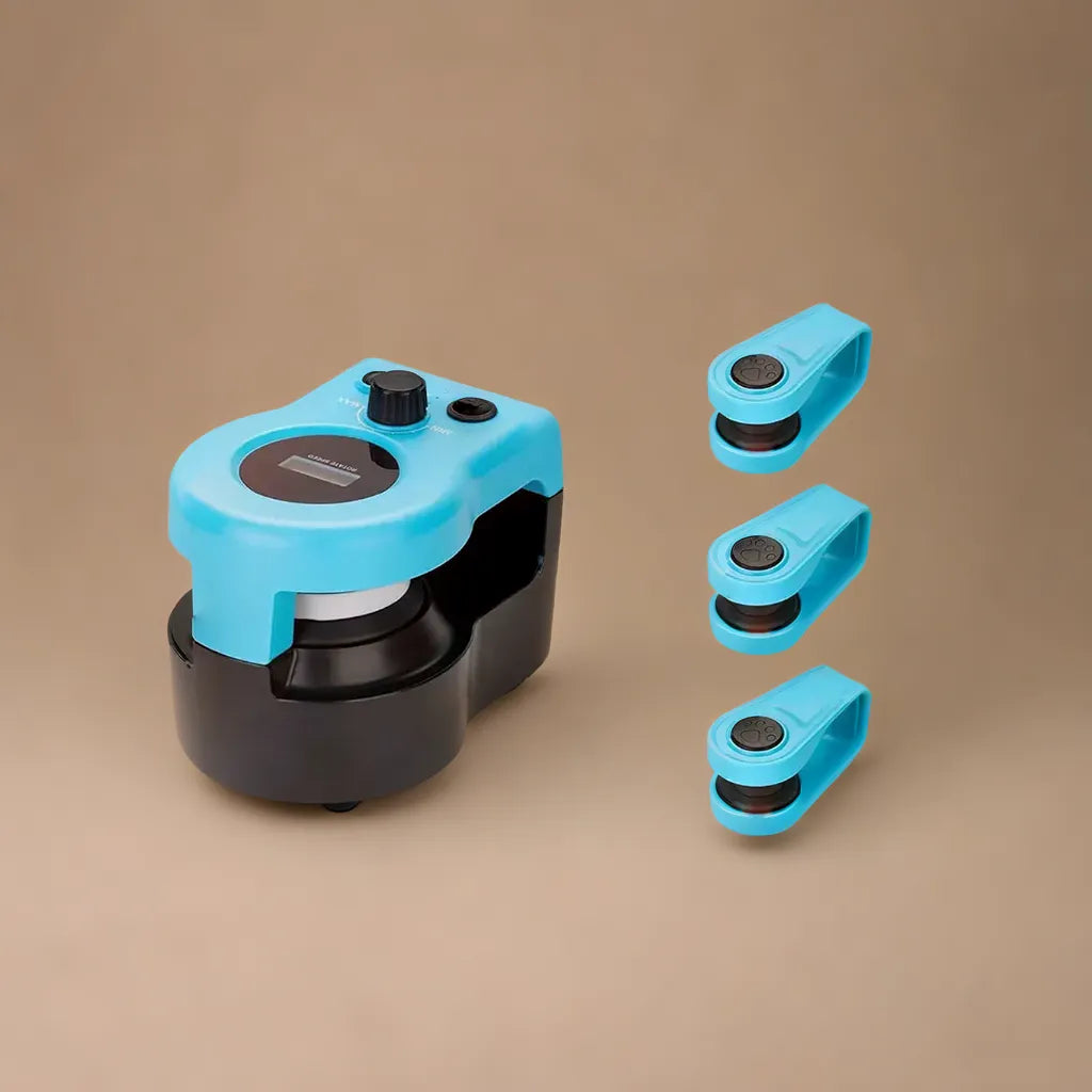 Interactive Cat Chase Toy