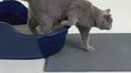 Load and play video in Gallery viewer, Cat Litter Mat
